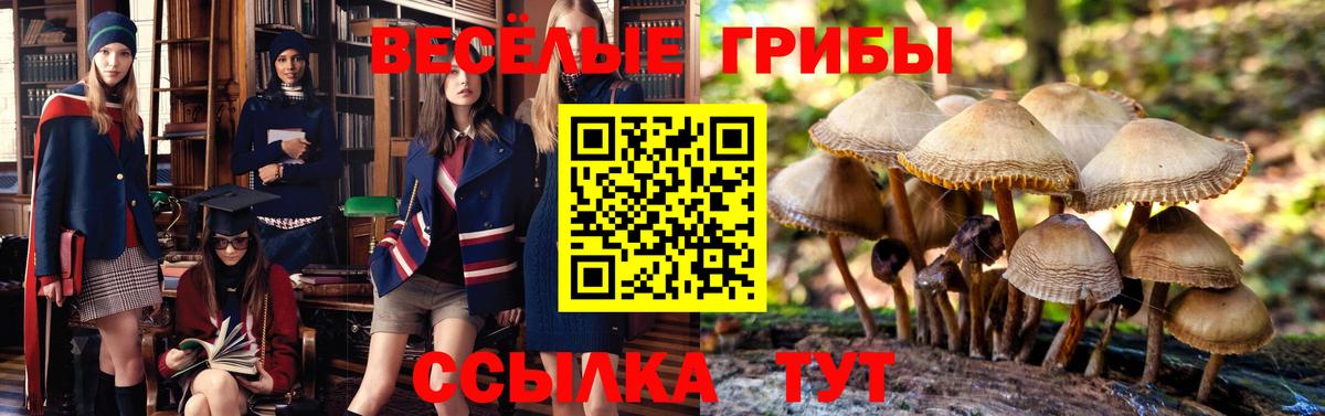 Галлюциногенные грибы Cubensis  Вход с VPN  Псилоцибиновые грибы Psilocybe  Петрозаводск 